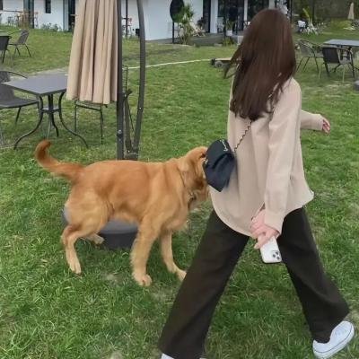 最后的吸血鬼